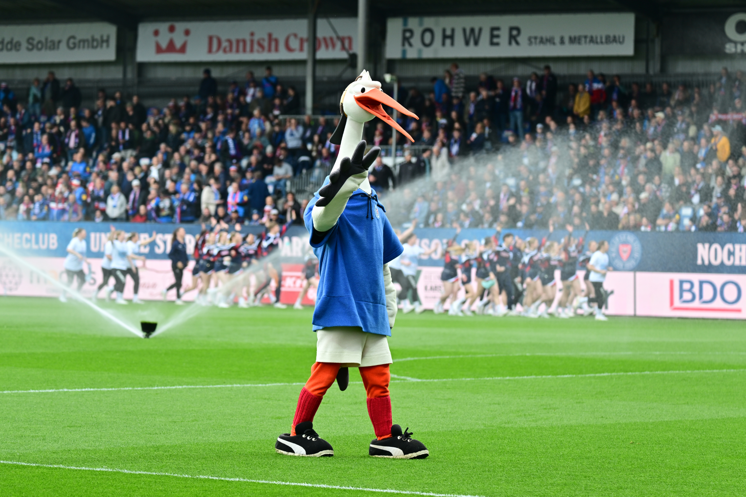 Du betrachtest gerade Auszeichnung für den perfekten Rasen: Holstein Kiel erneut „Pitch of the Year“