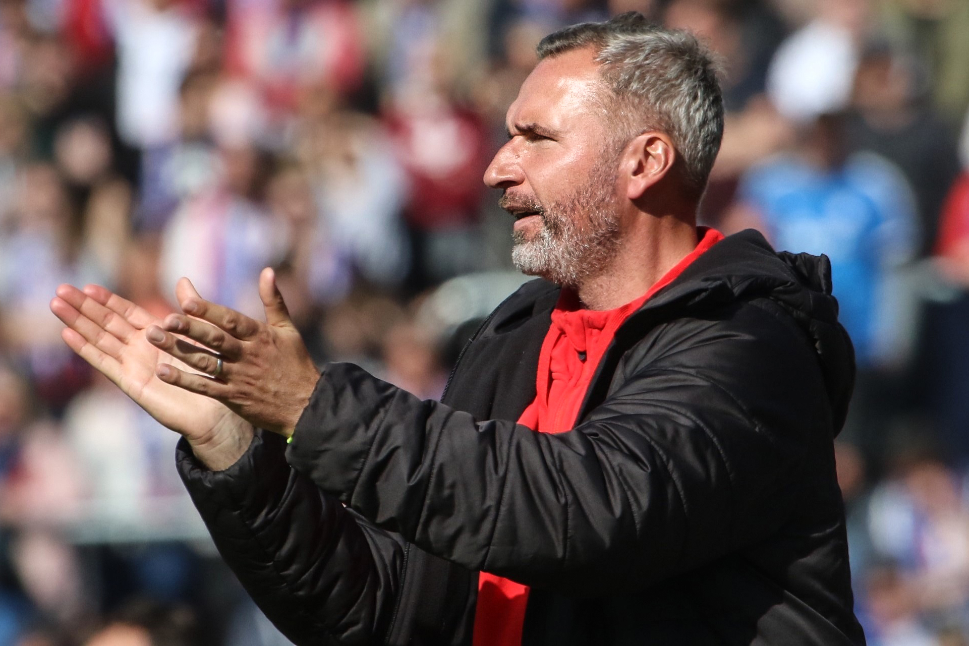 Tim Walter wird neuer Trainer bei Holstein Kiel - Bildquelle: Holstein Kiel.