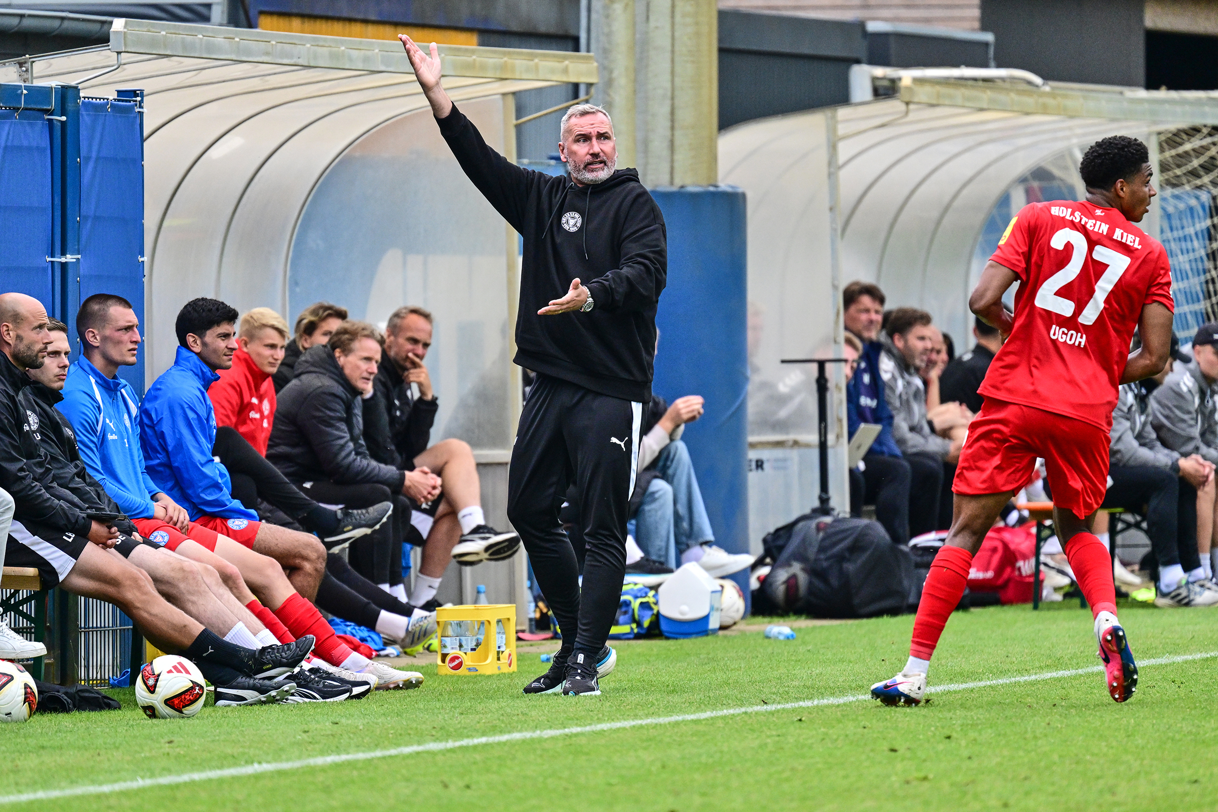 Mehr über den Artikel erfahren „Nur die Harten kommen in den Garten“ – Holstein-Coach Tim Walter im Interview